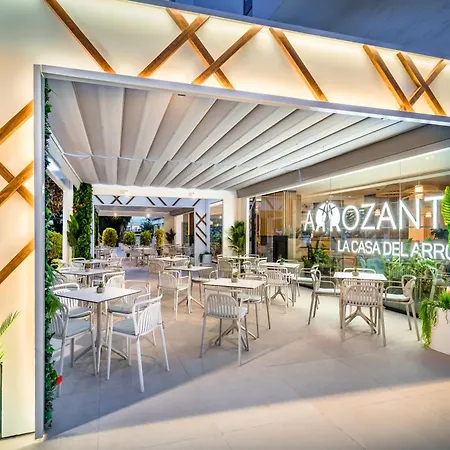 Hotell Occidental Puerto Banus 4*