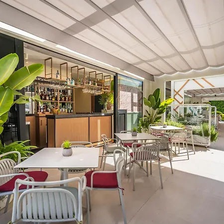 Occidental Puerto Banus