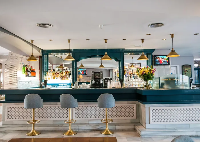 Отель Occidental Puerto Banus 4*